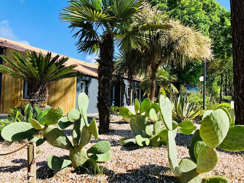 camping nature proche des plage