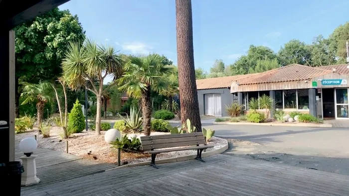 La réception et les allées bien entretenu un jour ensolieillé au Kabana Village